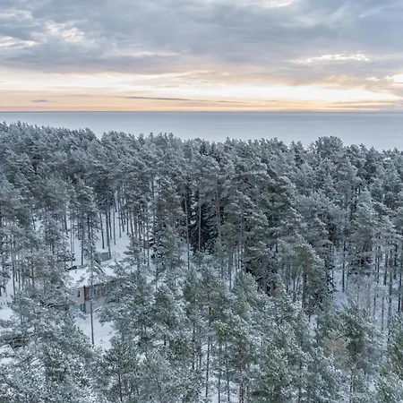 ヴィラ Marika Alajõe